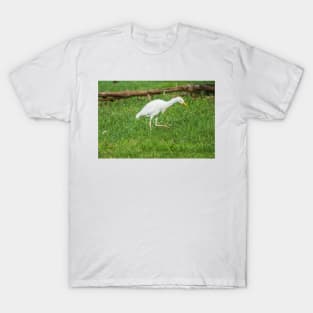 Walking Cattle Egret T-Shirt